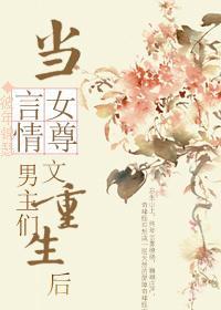 当言情女尊文的男主们重生之后封面