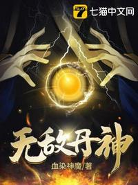 无敌丹神封面