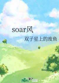 soar风封面