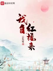 我自红楼来封面
