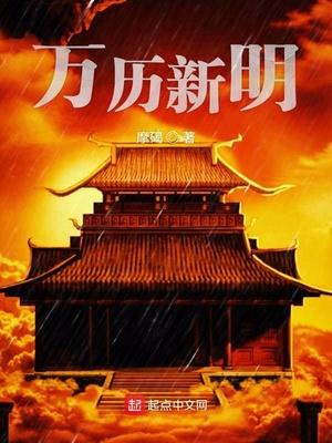 她从火光中离去封面