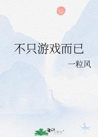 不只游戏而已封面