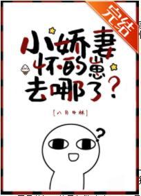 小娇妻怀的崽去哪了？封面