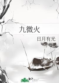 九微火封面