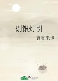 剔银灯引封面