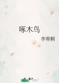 啄木鸟封面