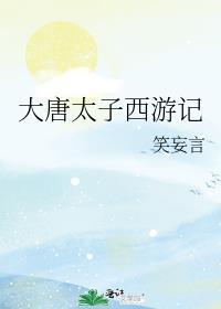 大唐太子西游记封面