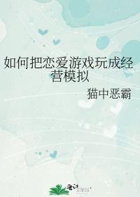 如何把恋爱游戏玩成经营模拟封面