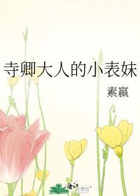 寺卿大人的小表妹封面