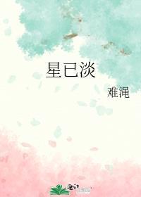 星已淡封面