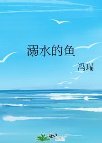 溺水的鱼封面