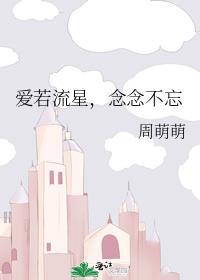 爱若流星，念念不忘封面