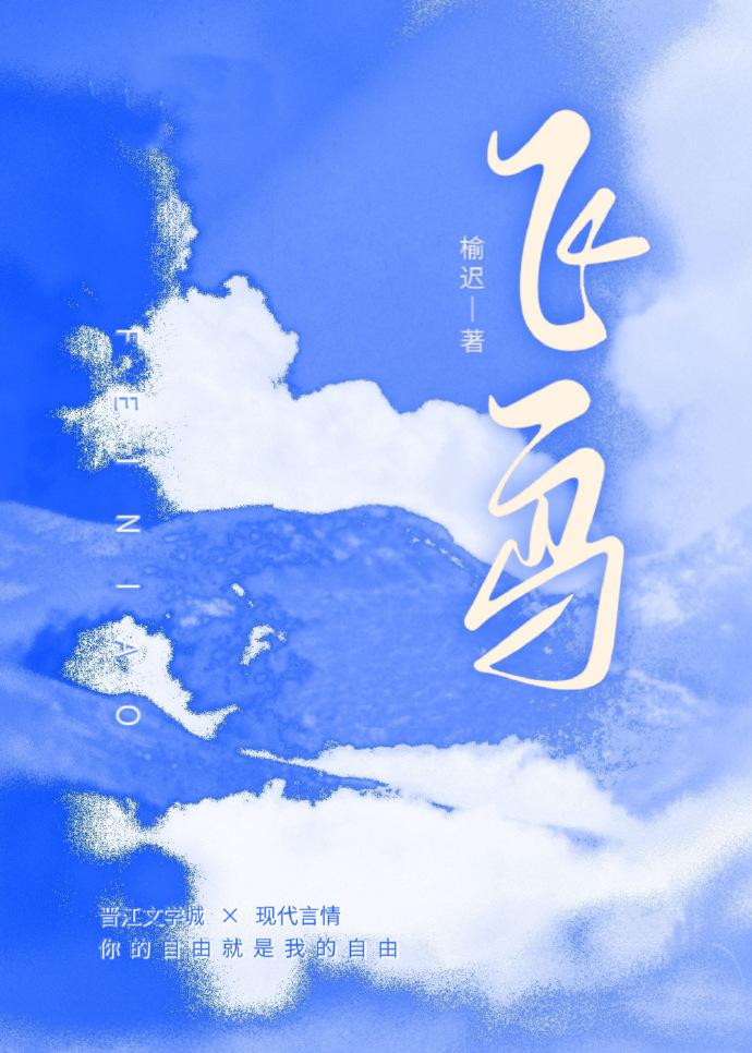 飞鸟封面