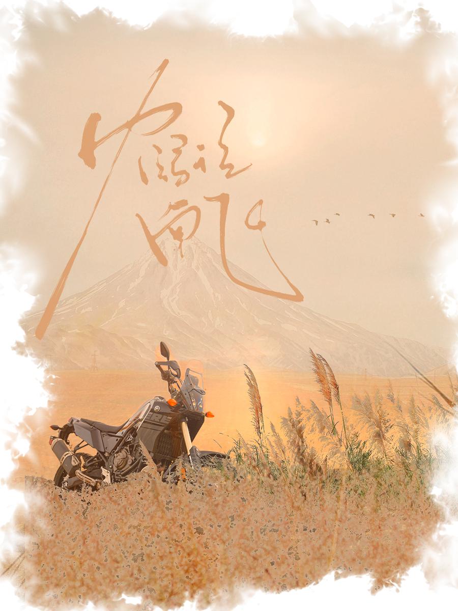 鹤往南飞封面