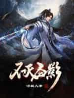 不灭圣影封面