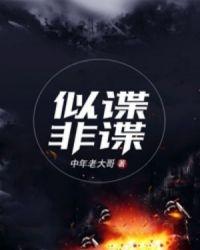 似谍非谍封面