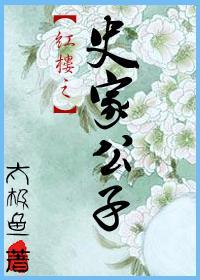红楼之史家公子封面