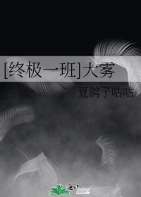 [终极一班]大雾封面