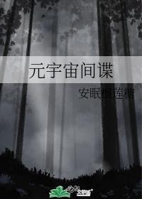 元宇宙间谍封面