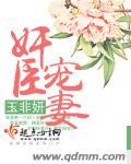 奸臣宠妻封面