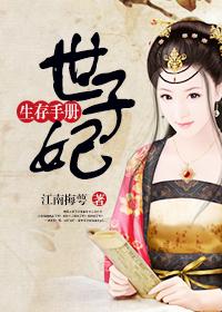 世子妃生存手册封面