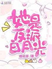 她是反派白月光封面