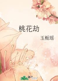 桃花劫封面