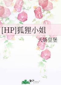 [HP]狐貍小姐封面