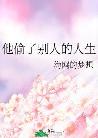 他偷了别人的人生封面