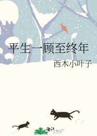 平生一顾至终年封面