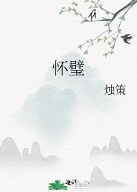 怀璧封面