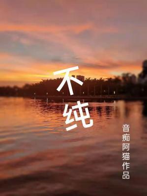 不纯封面