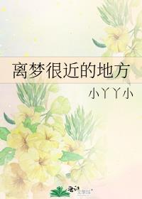 离梦很近的地方封面