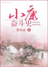 小康奋斗史封面