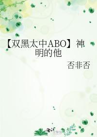 【双黑太中ABO】神明的他封面