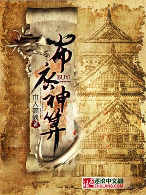 布衣神算封面