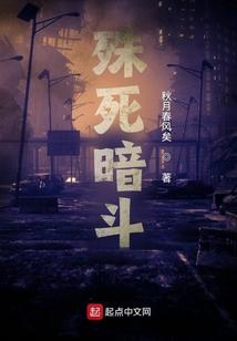 殊死暗斗封面