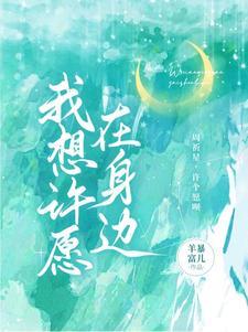 我想许愿在身边封面