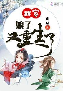 我家娘子又重生了封面