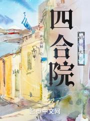 四合院的何大爷封面