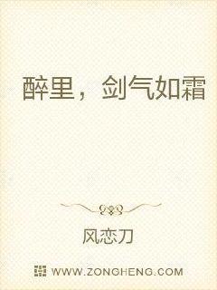醉里，剑气如霜封面