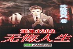 重生1980无悔人生封面