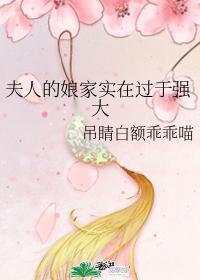 夫人的娘家实在过于强大封面