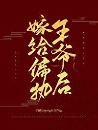 嫁给偏执王爷后封面