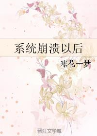 系统崩溃以后封面