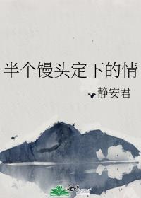 半个馒头定下的情封面