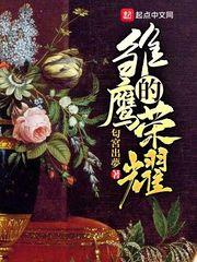 雏鹰的荣耀封面