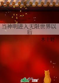 当神明进入无限世界以后封面