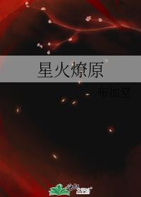星火燎原封面
