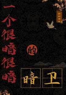 谍影：命令与征服封面
